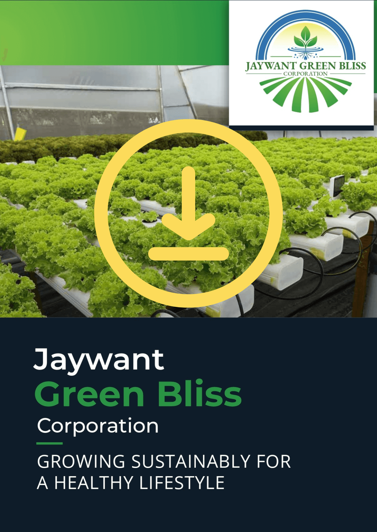 Pune Vegetables Suppliers and Manufacturers