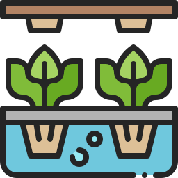 Edible flower Farm in Pune