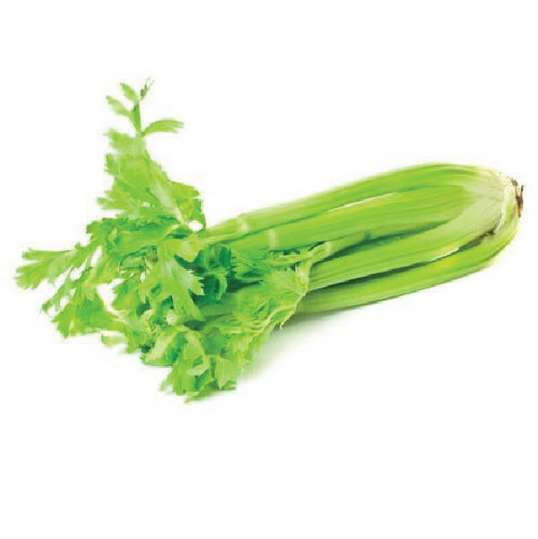 Supplier-Of-Celery-In-India | Fresh-Herbs-Manufacturer