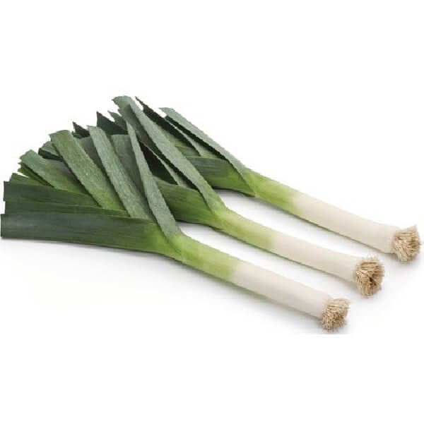 Supplier-Of-Leeks-In-india | Leading-Fresh-Herbs-Manufacturer