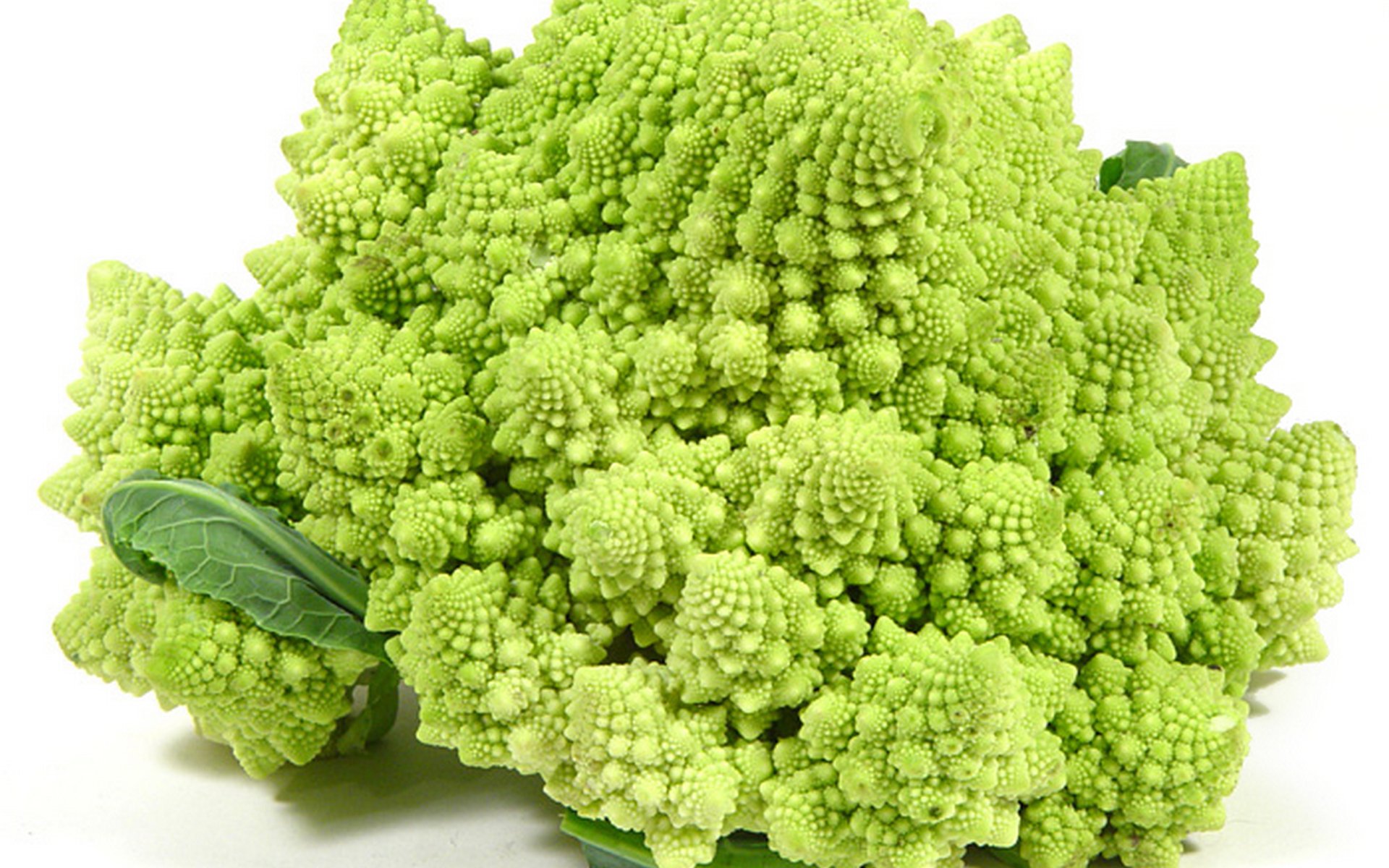 Leafy-Vegetable-Supplier-In-India