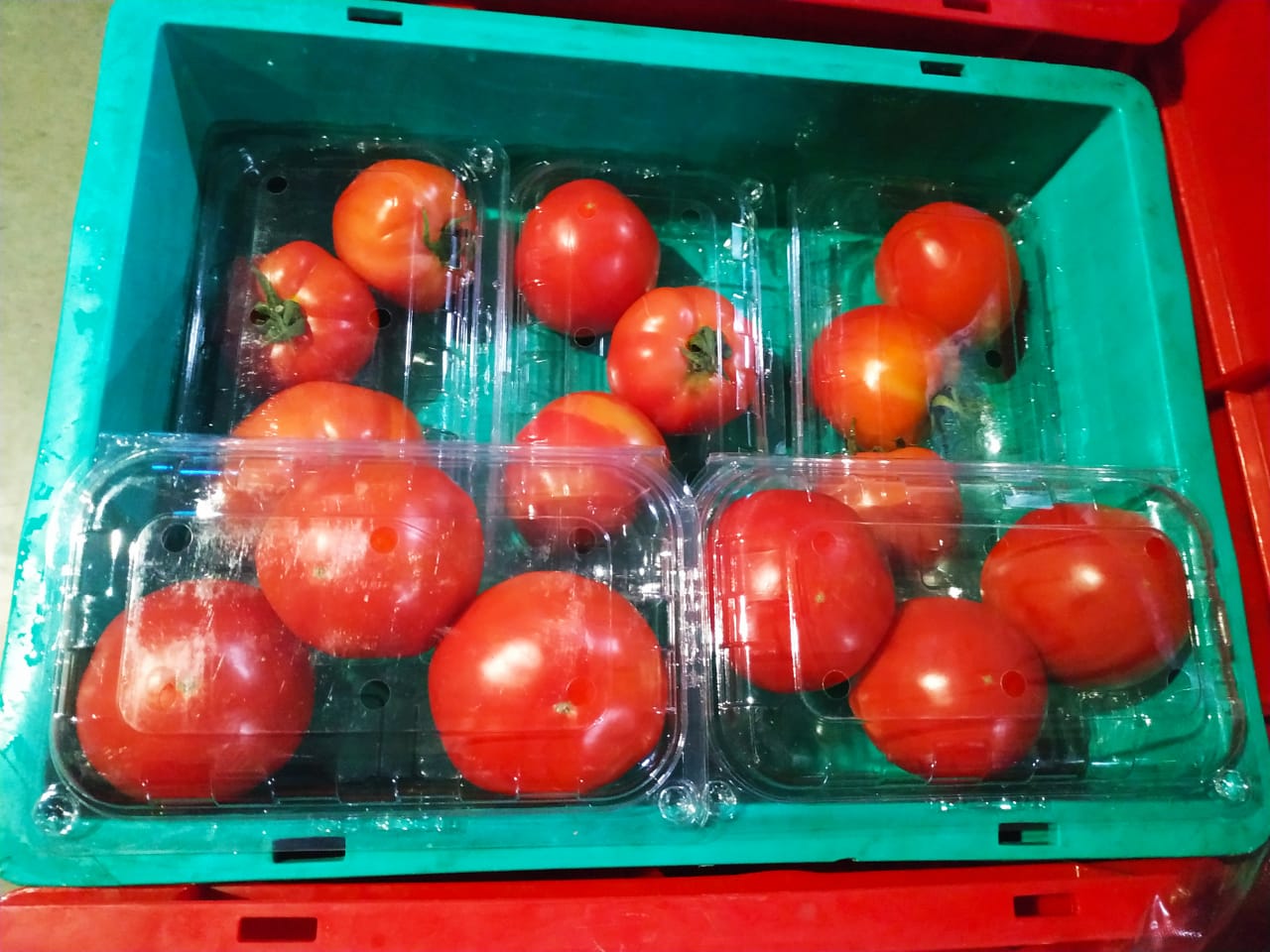 Buy Edible Flowers Online In Pune