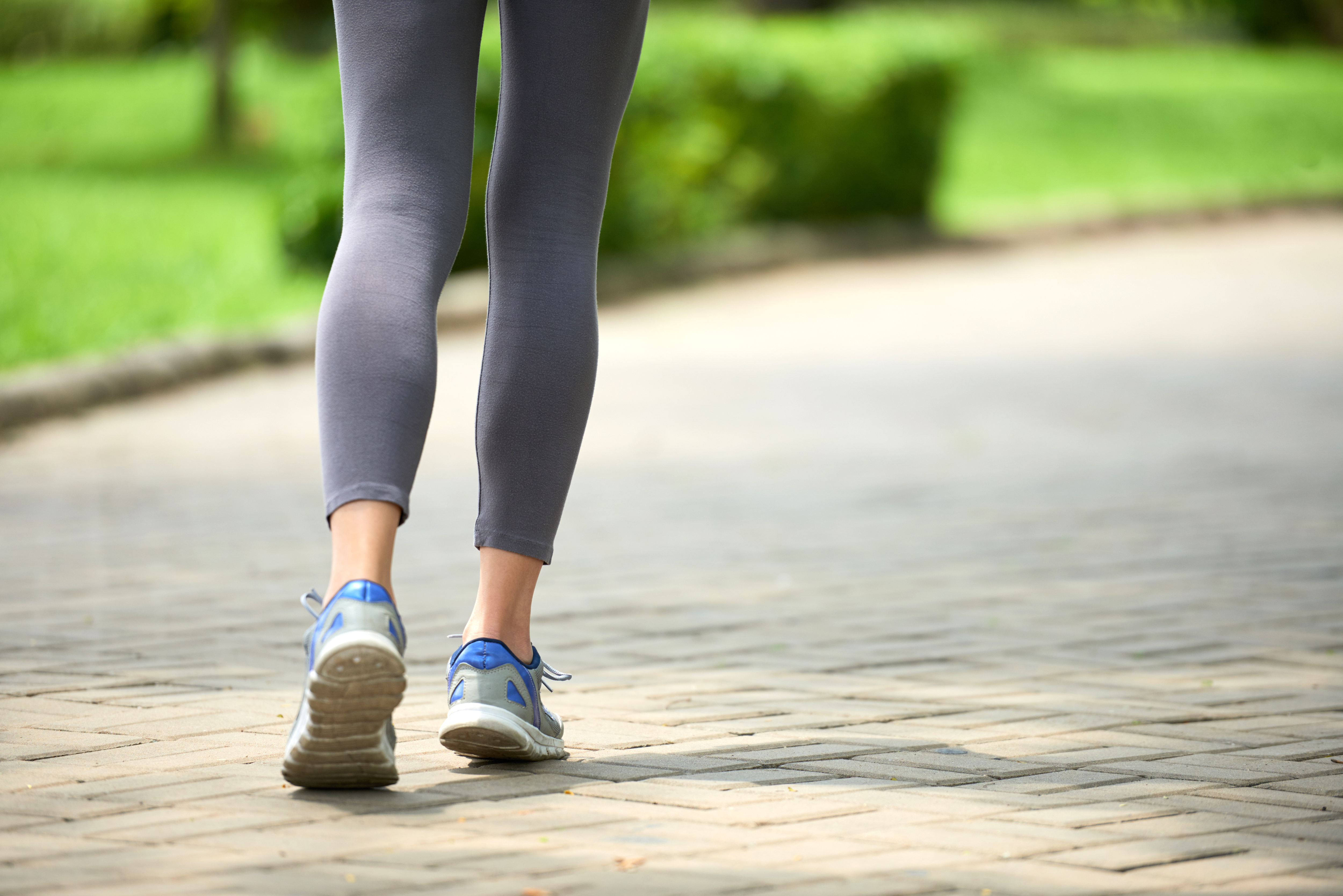Walking Track