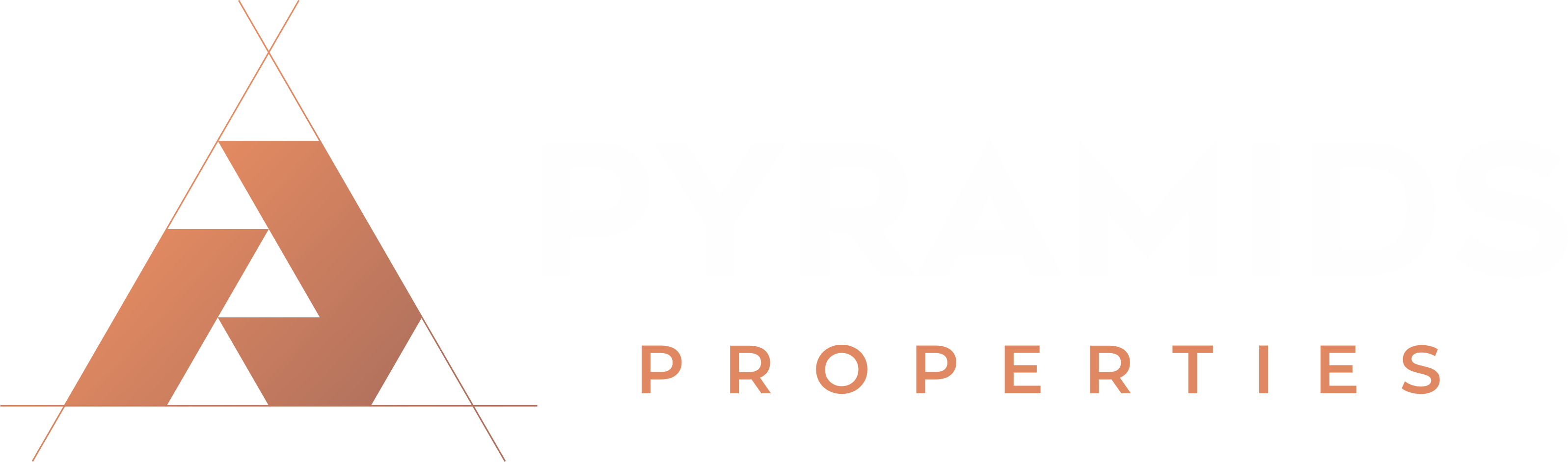 Strategic Partner